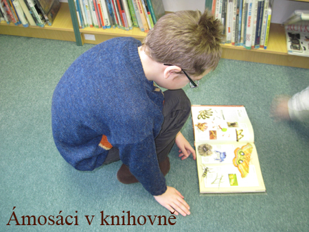 knihovna (9)